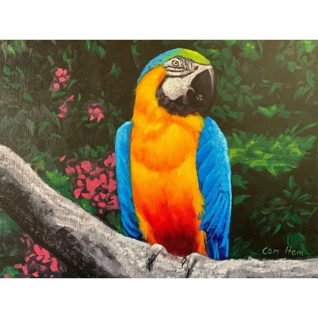 P005 The Parrot