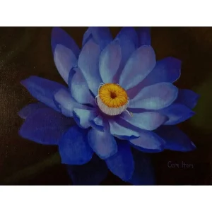 P019 The Lilly