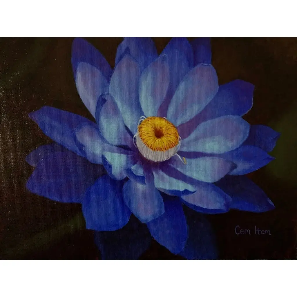P019 The Lilly