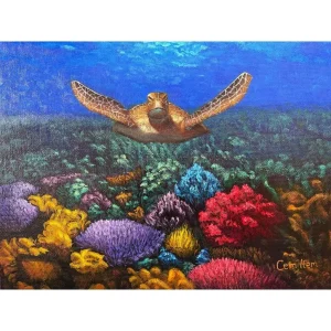 P023 The Turtle