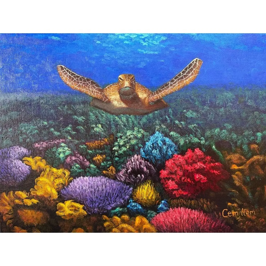 P023 The Turtle