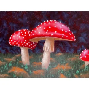 P027 The Mushrooms