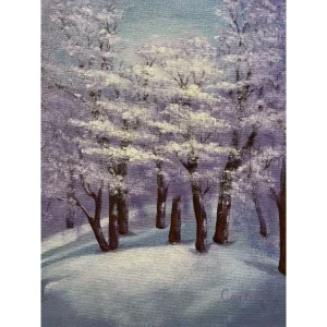 P030 The Snow