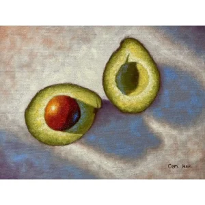 P053 The Avocados