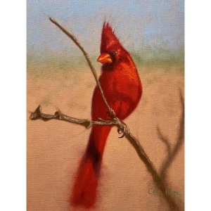 P054 The Cardinal