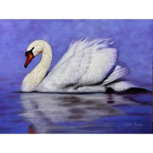 P056 The Swan