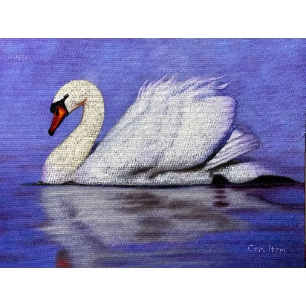 P056 The Swan