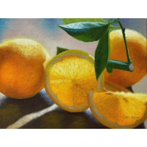 P058 The Lemons