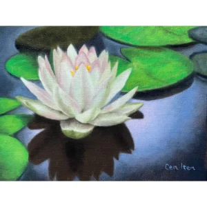 P064 The Lilly