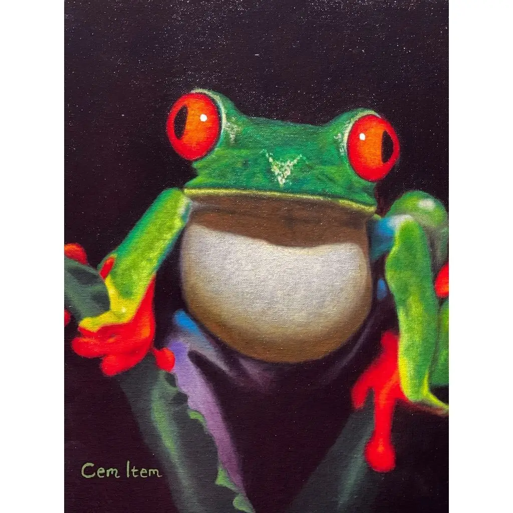 P066 The Frog