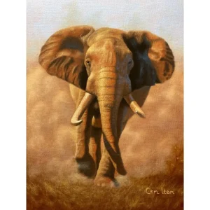 P074 The Elephant