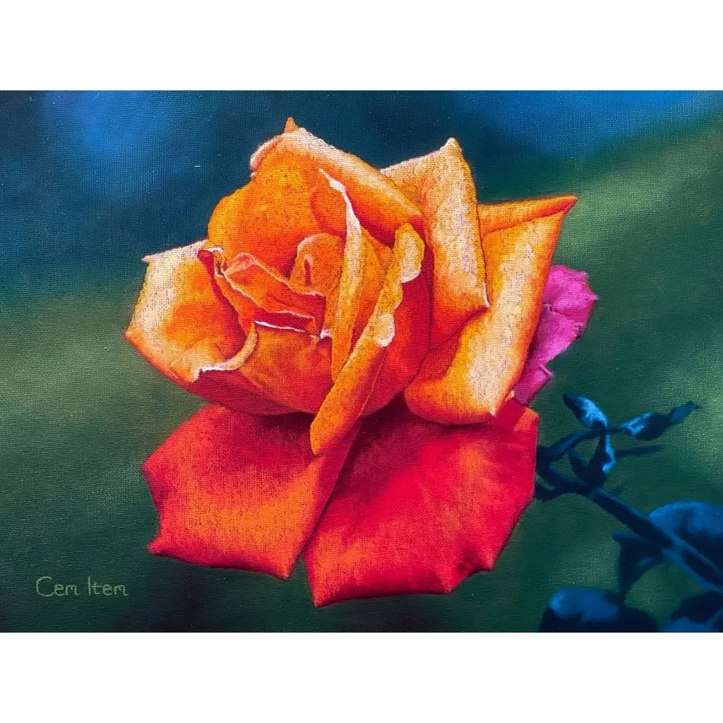 P075 The Rose