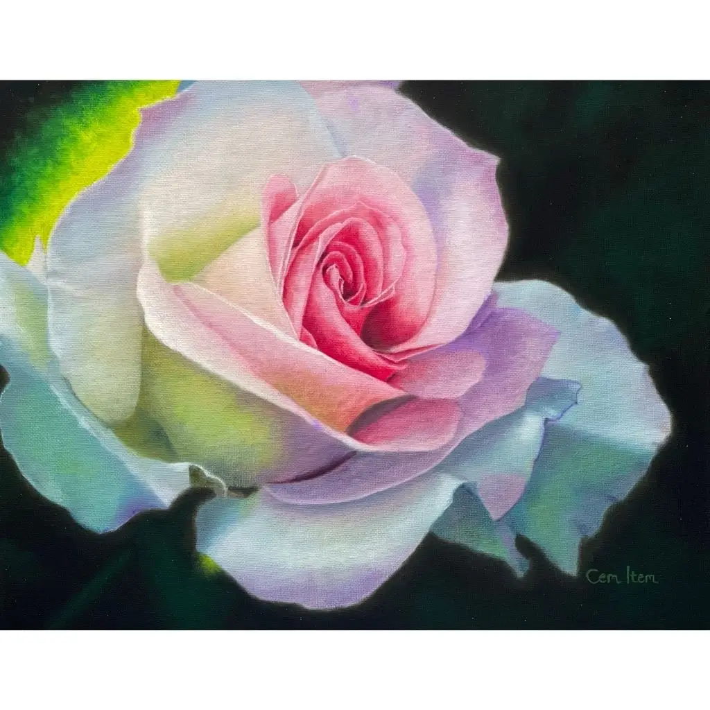 P083 The White Rose