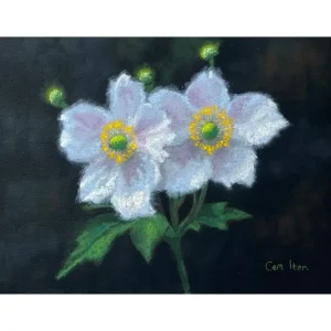P084 White Flowers