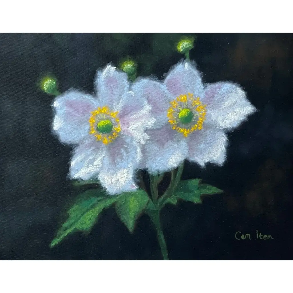 P084 White Flowers