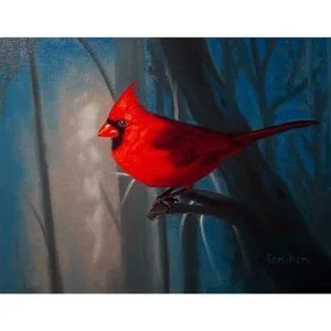 P094 The Red Cardinal