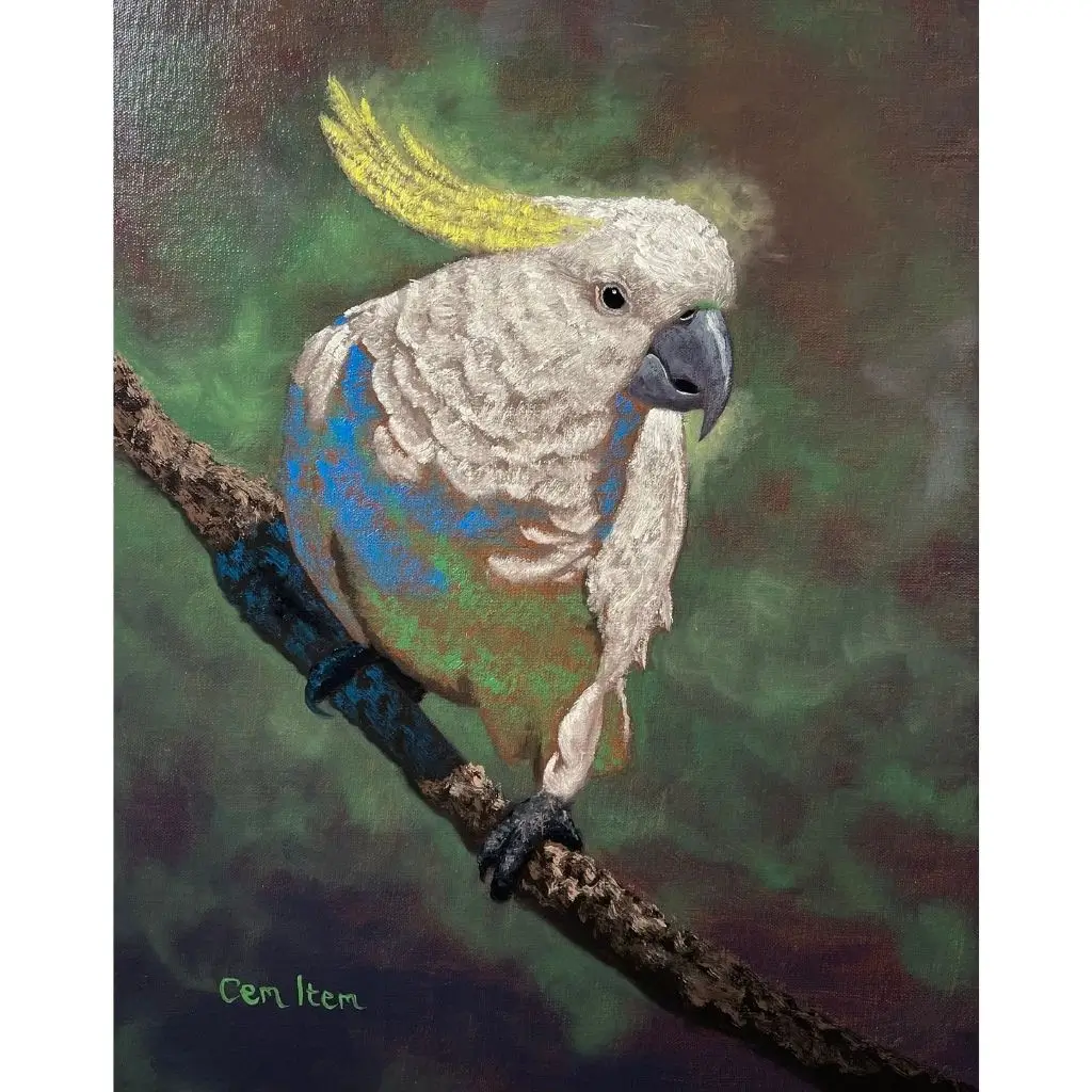 P096 The Cockatoo