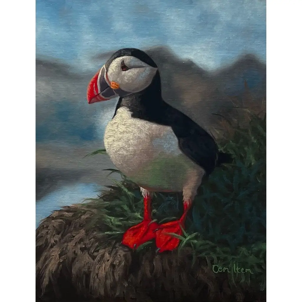 P097 The Puffin