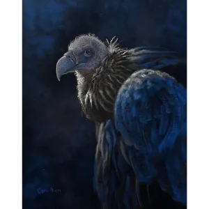 P098 The Vulture