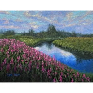 P102 The Field and Stream