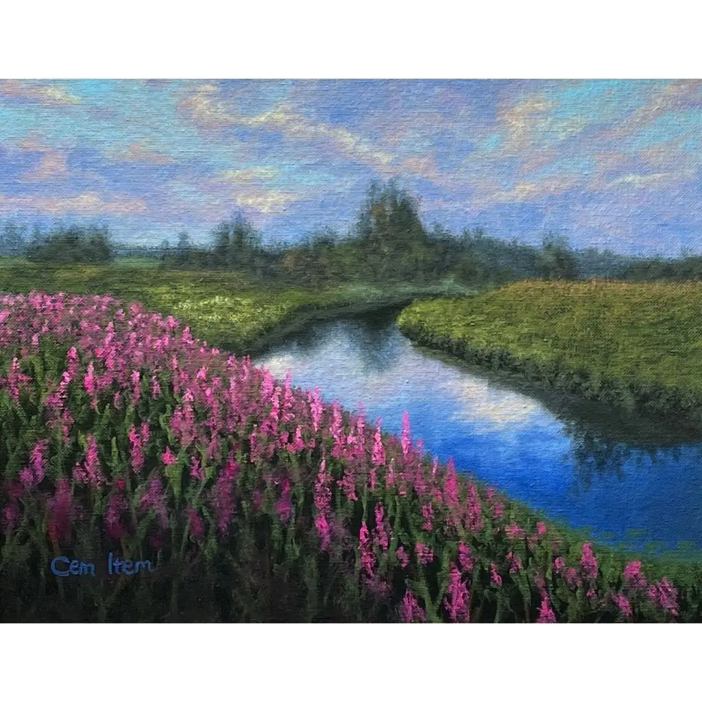 P102 The Field and Stream
