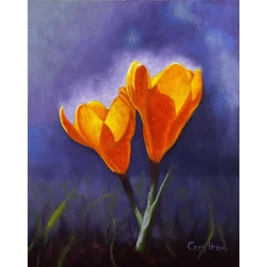 P106 The Yellow Crocus
