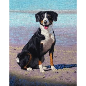 P113 Dog on the Beach