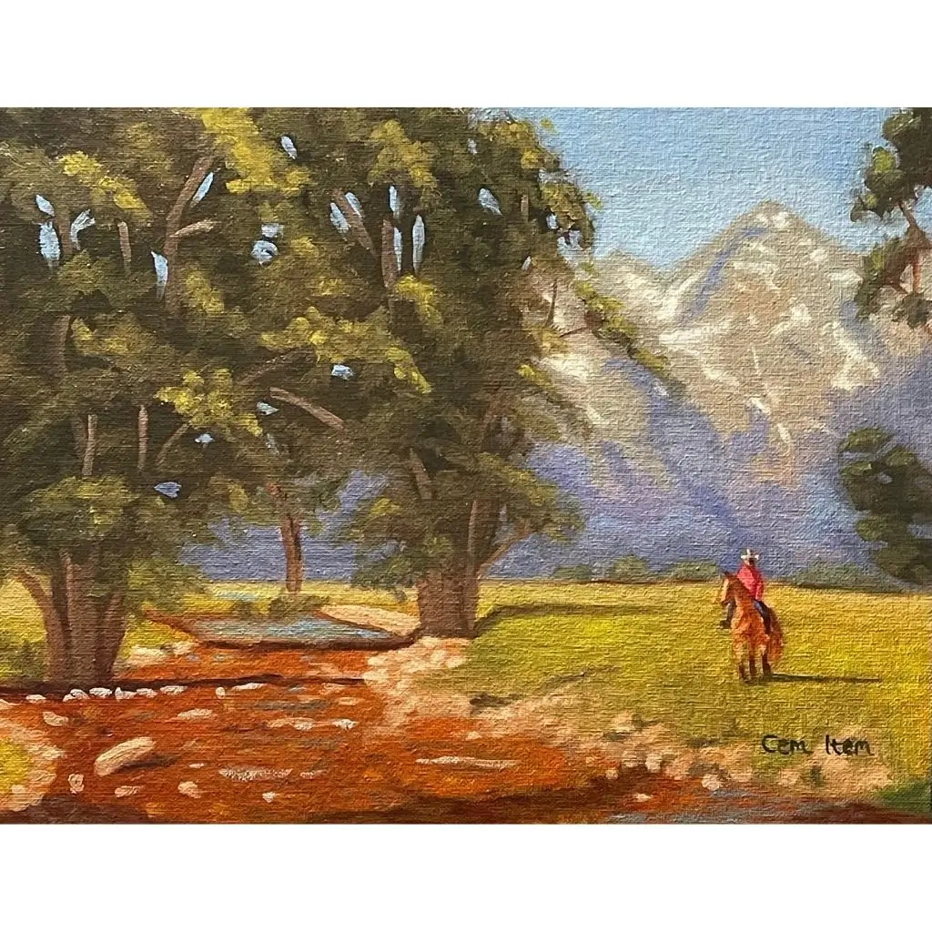 P115 Wyoming Cowboy