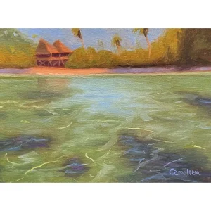 P142 Island Waters